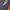 DENVER BRONCOS 1998 JOHN ELWAY NFL