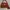 Vintage Red Croco Glossy Tote Sling Bag
