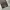 Good life works baggy balloon pants photo 5