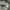 Adidas Casual Sportswear Hoody Pria gray photo 6