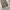 Good life works cargo baggy pants photo 5