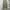Uniqlo Balloon Cargo Pants