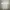 Jersey Real Madrid Parley Autentik 2016/2017