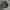 Red Head Bass Pro Shops Realtree Jacket photo 1
