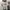 Vintage Streetwear T-shirt Pria white photo 1