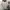 Vintage Streetwear T-shirt Pria white photo 3