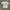 Tshirt 80s JOMA photo 3