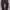 cargo pants parasut  photo 1