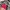 Y2k Cocotte Mesh Top With Girl Graphic All Over Print photo 5