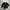 Gransignore Basic Japan Shirts