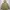 UNIQLO M65 Parka Jacket Size S