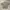 Japanese brand Y2K Casual Casual shirt Pria tan photo 2