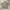 Japanese brand Y2K Casual Casual shirt Pria tan photo 4