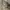 Japanese brand Y2K Casual Casual shirt Pria tan photo 3