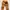 Carhartt Work Pants Double Knee photo 1