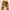 Carhartt Work Pants Double Knee