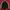 Tracktop Adidas Superstar Big Logo photo 1