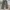 Bucket nylon wide pants photo 2