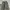 Bucket nylon wide pants photo 3