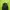 Vest Converse black puffer photo 1