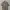 Burberrys vintage floral shirts photo 2