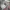 Burberrys vintage floral shirts photo 6