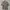 Burberrys vintage floral shirts photo 1