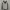 Hoodie Sharksco photo 2