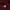 WORKSHIRT UNKNOWN MAROON photo 4