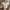 Carhartt Vintage Luxury T-shirt Pria tan photo 5