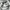 Nike Vintage Sportswear Jersey Pria white photo 6