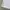 Nike Vintage Sportswear Jersey Pria white photo 4