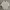 Polo Shirt Knitwear Pocket Uomo Kosugi Bone White Unisex photo 1