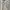 Polo Shirt Knitwear Pocket Uomo Kosugi Bone White Unisex