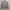 HOODIE GAP photo 1