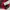 Adidas Vintage Sportswear Jersey Pria red photo 5