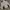 SWEATSHIRT MILLET HALF-ZIP photo 6