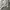 Adidas Vintage Streetwear Jersey Pria white photo 3