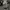 TRYTOTALK T-SHIRT OVERSIZE  photo 5