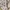 Ll bean anorak all over print parka  photo 5