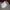 Nike Air Force 1 Low CPFM  photo 3