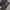 Dickies Carpenter Work Pants Black – Heavy Cotton USA Made  photo 5