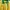 Jersey brazil photo 2