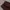 Inherit wool chino longpants dark brown, Loose Fit photo 4