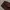 Inherit wool chino longpants dark brown, Loose Fit photo 7