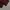 Inherit wool chino longpants dark brown, Loose Fit photo 8