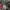 Vintage Play CDG 90s Single Stitch photo 4