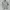 Vintage Play CDG 90s Single Stitch photo 1
