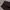 Going longpants dark brown soft jeans, Regular Straight Fit photo 4