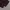 Going longpants dark brown soft jeans, Regular Straight Fit photo 8
